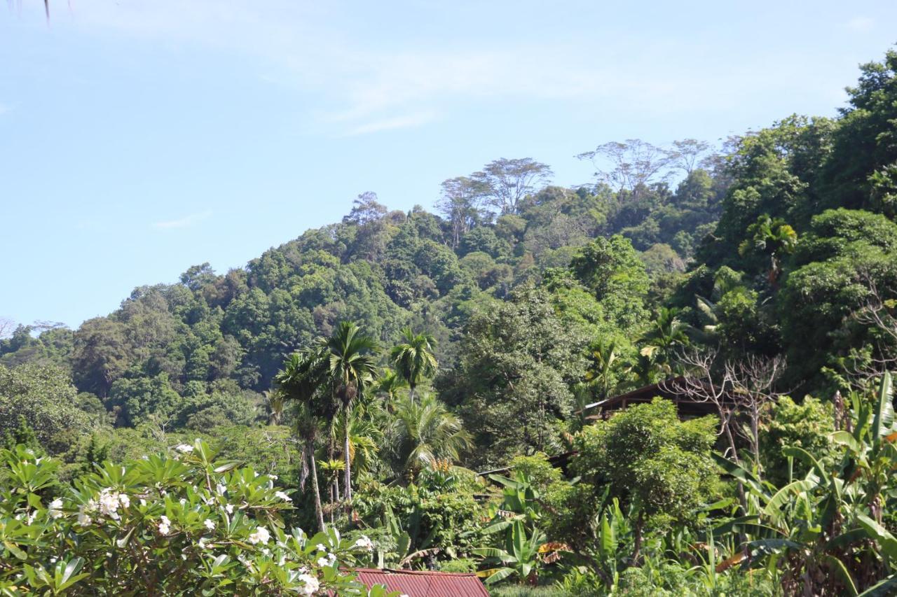 Air Manis Hillside Villa Cafe & Resto Padang  Exterior foto